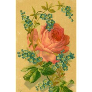 1880-90's Beautiful Rose & Poem By True & Co Victorian Trade Card FAB!